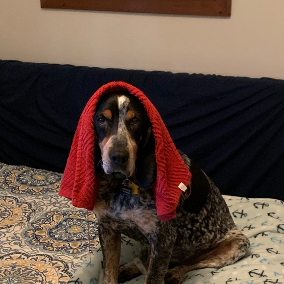 Meet your Posher, Coltrane - Picture 1 of 1